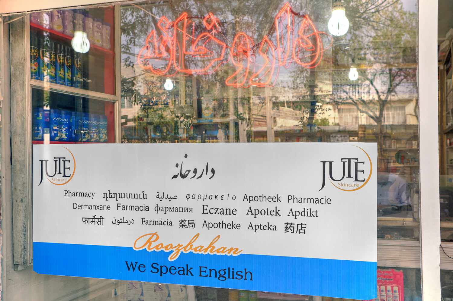 Multilingual AI in 2025: Navigating Bias, Economic Risks, and Strategic Imperatives