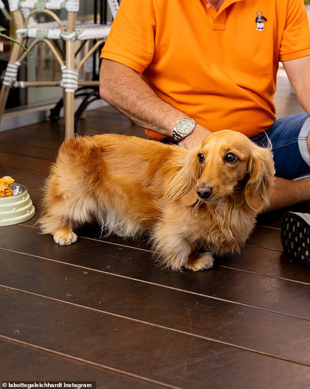 GPT-5 in 2025: Redefining AI Collaboration and Business Value