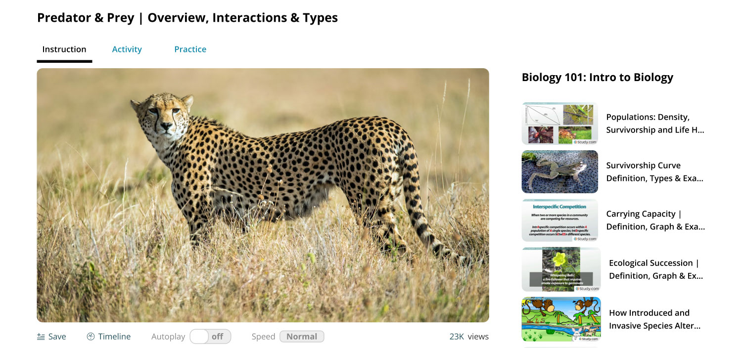Filtered Training Data: The Cornerstone of Safer Open AI Models in 2025