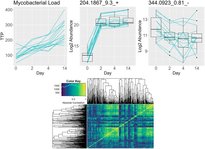 Adaptive Partitioning of Longitudinal Data for Predictive Modeling: Strategic Insights and Best Practices in 2025