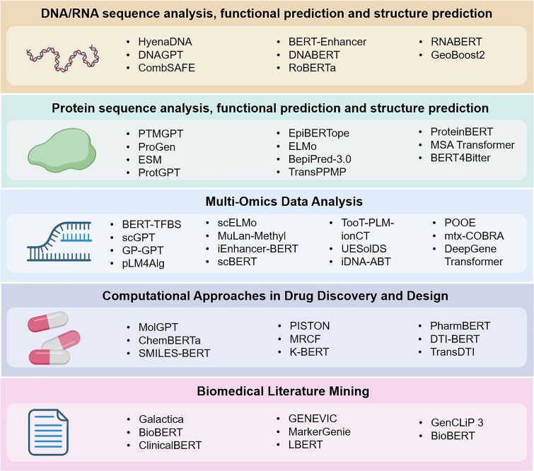 Cross‑Species Protein Evolution: Business Implications of a Research Gap in 2025