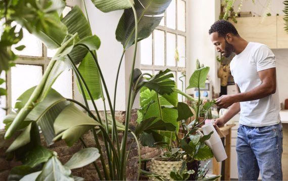 Explained: Generative AI’s environmental impact - MIT News - AI2Work Analysis